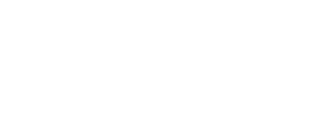 Flamex Logo Blanc